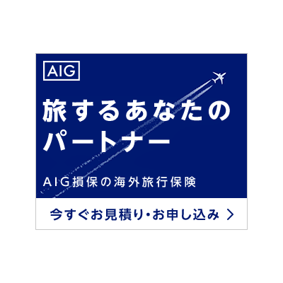 AIG損保 海外旅行保険