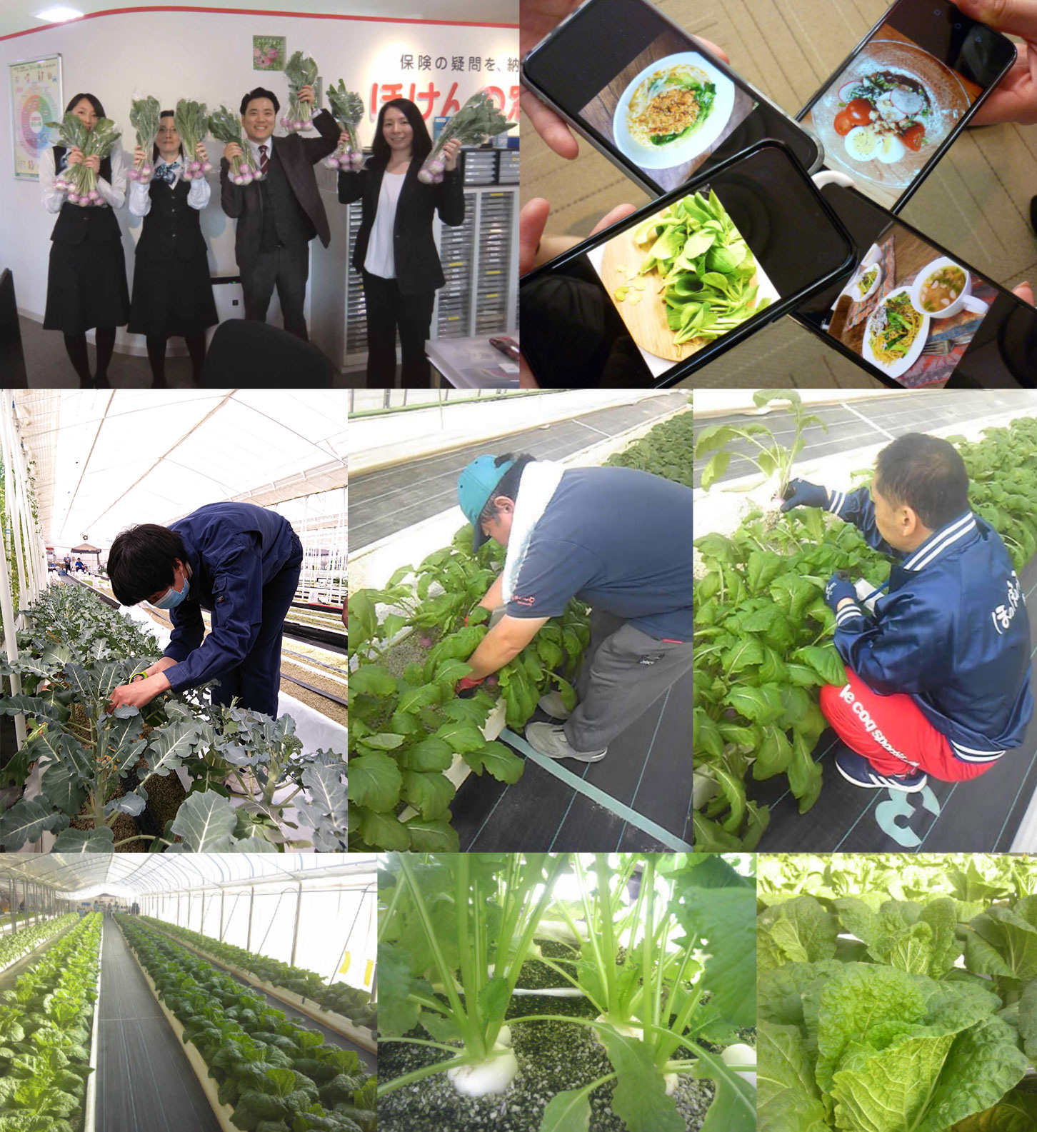 障がい者雇用促進への取り組み